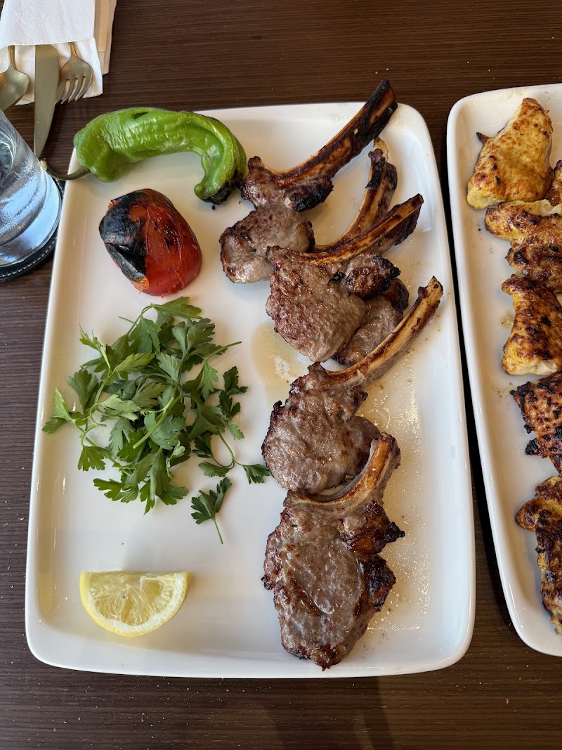 shandiz international - Image 3