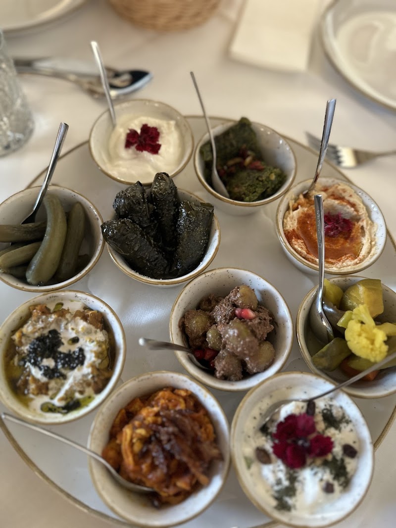 Kourosh - Image 4